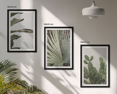 Three-piece wall art piece Leaves of tropical plants pastel