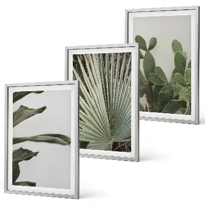 Tropical plant leaves wall art three-piece pastel set
