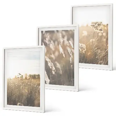 Set of 3 framed landscape wall art pieces featuring grass and flowers with a warm aesthetic