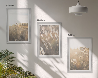 Set of 3 framed wall art pieces Landscape grass flowers warmth