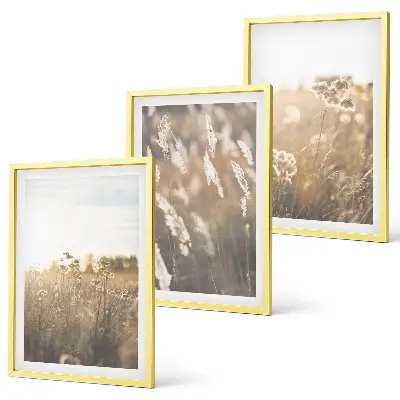 Set of 3 framed landscape wall art pieces featuring grass and flowers with a warm aesthetic