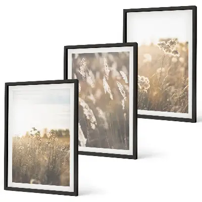 Set of 3 framed landscape wall art pieces featuring grass and flowers with a warm aesthetic