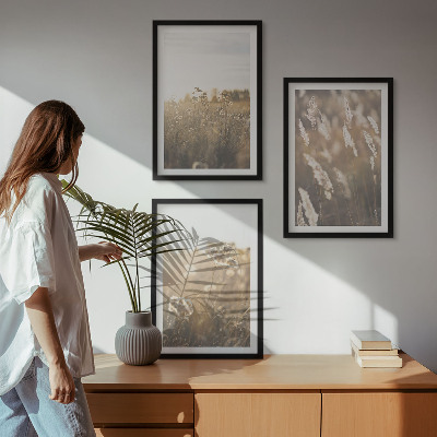 Set of 3 framed wall art pieces Landscape grass flowers warmth