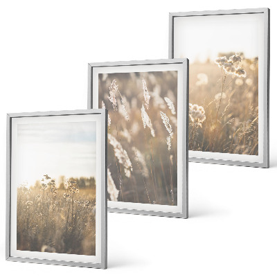Set of 3 framed wall art pieces Landscape grass flowers warmth