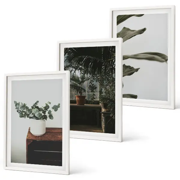 Rustic potted plants three-piece wall art set