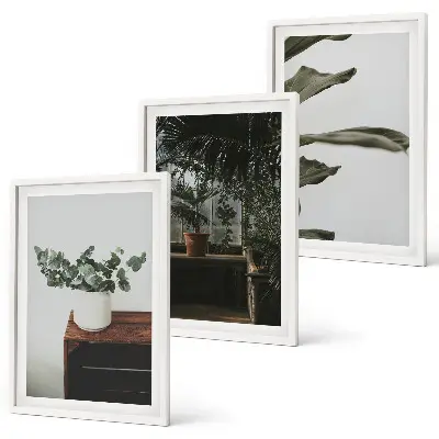 Rustic potted plants three-piece wall art set