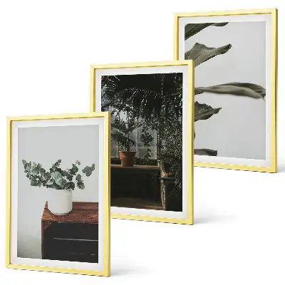 Rustic potted plants three-piece wall art set