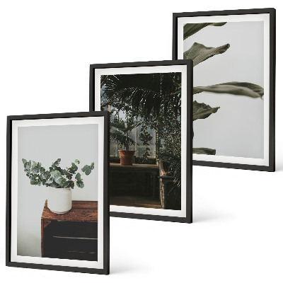Three-piece wall art piece Rustic potted plants