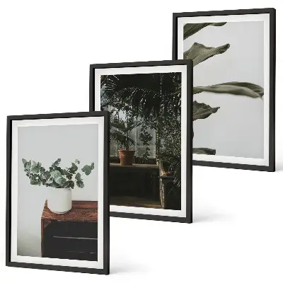 Rustic potted plants three-piece wall art set