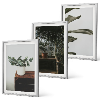 Three-piece wall art piece Rustic potted plants