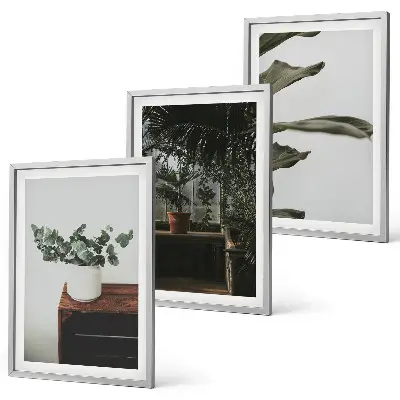 Rustic potted plants three-piece wall art set