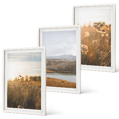 Three-piece wall art piece Landscapes meadows mountains lake
