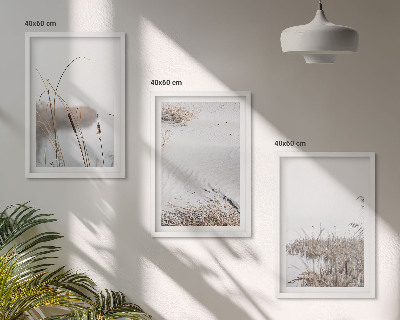 Set of 3 framed wall art pieces Aquatic vegetation in summer