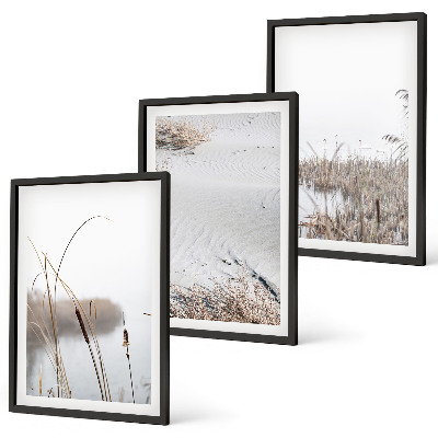 Set of 3 framed wall art pieces Aquatic vegetation in summer