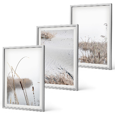 Set of 3 framed wall art pieces Aquatic vegetation in summer