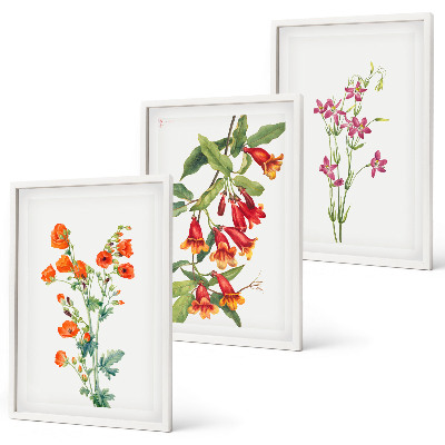 Set of 3 framed wall art pieces Vintage retro flower painting