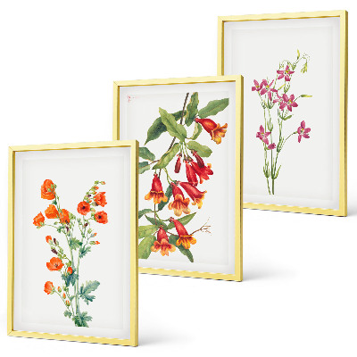 Set of 3 framed wall art pieces Vintage retro flower painting
