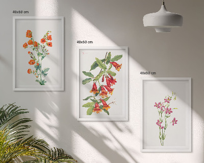 Set of 3 framed wall art pieces Vintage retro flower painting