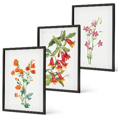 Vintage retro flower painting set of 3 framed wall art pieces