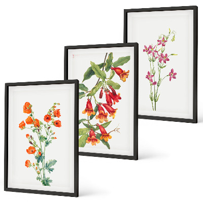 Set of 3 framed wall art pieces Vintage retro flower painting