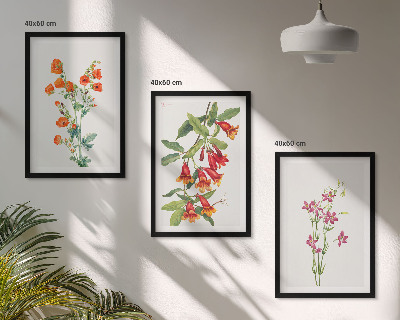 Set of 3 framed wall art pieces Vintage retro flower painting