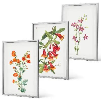 Vintage retro flower painting set of 3 framed wall art pieces