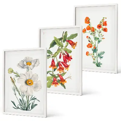 Retro floral arrangement wall art set 
