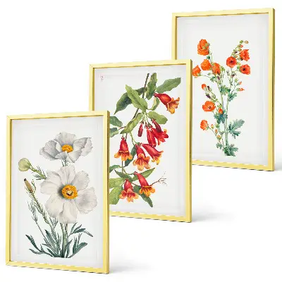 Retro floral arrangement wall art set 