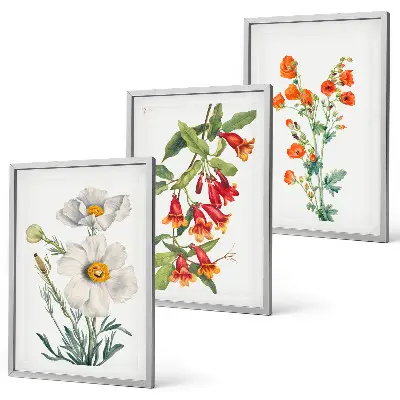 Retro floral arrangement wall art set 