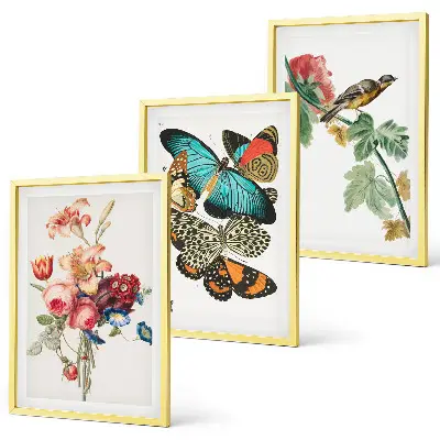 Three-piece wall art set featuring a pastel floral butterfly and bird design