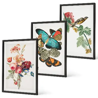 Three-piece wall art set featuring a pastel floral butterfly and bird design