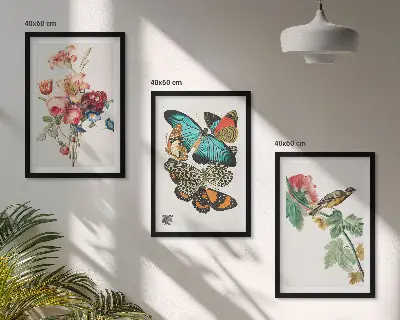 Three-piece wall art set featuring a pastel floral butterfly and bird design