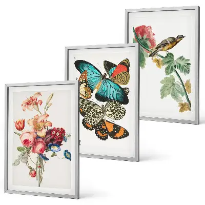 Three-piece wall art set featuring a pastel floral butterfly and bird design