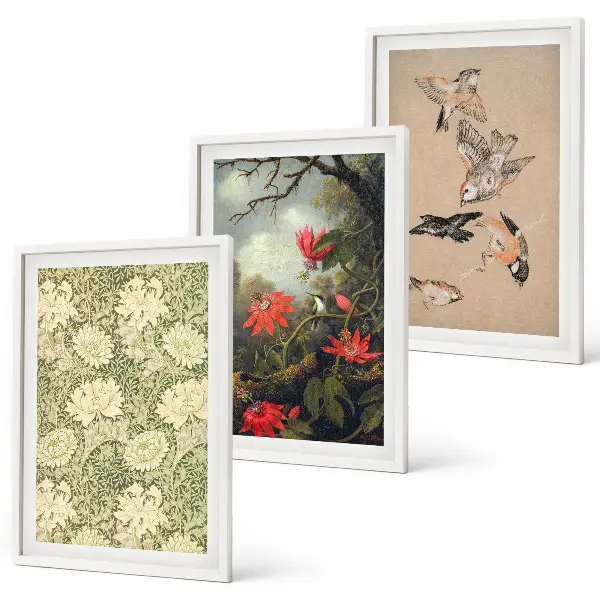 Flowers birds and nature wall art set of 3 framed pieces