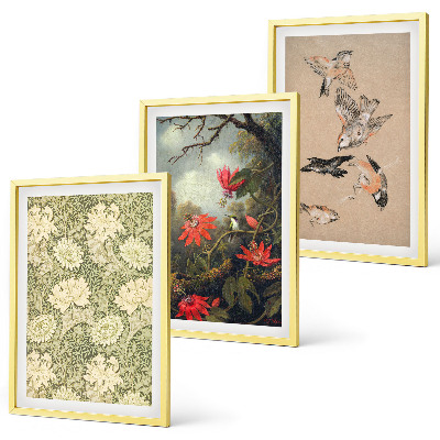 Set of 3 framed wall art pieces Flowers birds nature