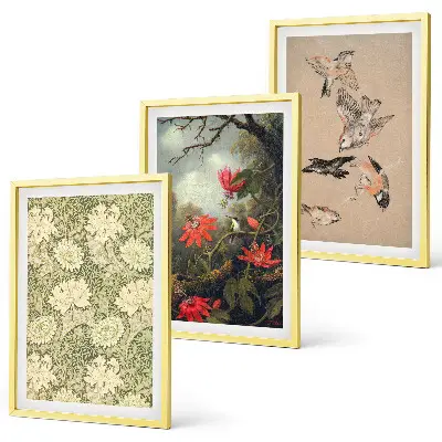 Flowers birds and nature wall art set of 3 framed pieces