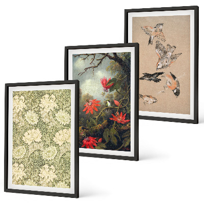 Set of 3 framed wall art pieces Flowers birds nature