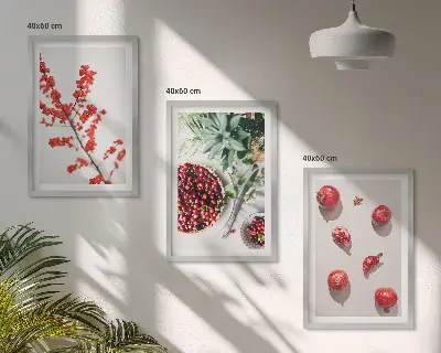 Three-piece botanical wall art set minimalist red fruit design