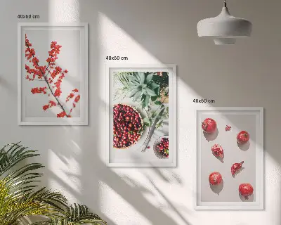 Three-piece botanical wall art set minimalist red fruit design