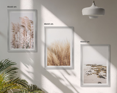Wall art set Fields of pampas grass and a boho beach