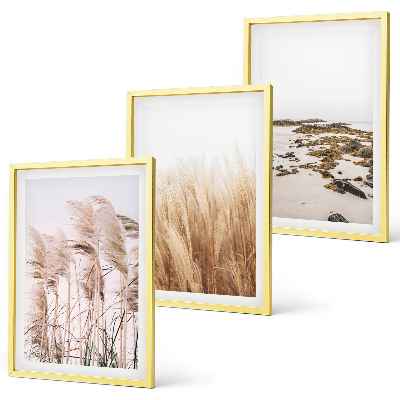 Wall art set Fields of pampas grass and a boho beach