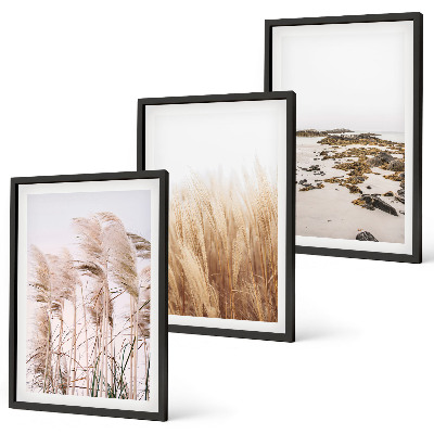 Wall art set Fields of pampas grass and a boho beach