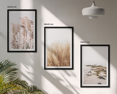 Wall art set Fields of pampas grass and a boho beach