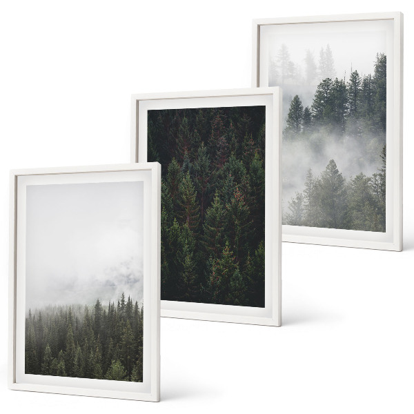 Wall art set Green forests fog nature