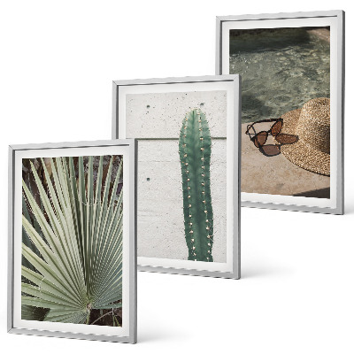 Wall art set Tropical plants accessories