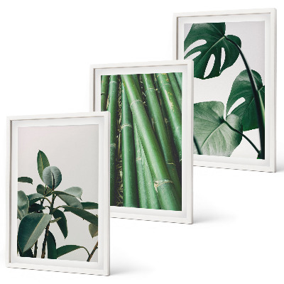 Set of 3 framed wall art pieces Bamboo stems and monstera leaves