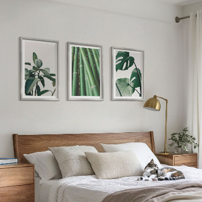 Set of 3 framed wall art pieces Bamboo stems and monstera leaves