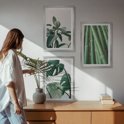 Set of 3 framed wall art pieces Bamboo stems and monstera leaves