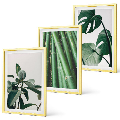 Set of 3 framed wall art pieces Bamboo stems and monstera leaves