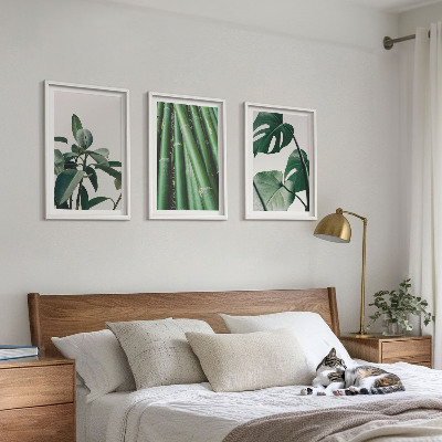 Set of 3 framed wall art pieces Bamboo stems and monstera leaves